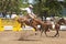 Saddle Bronc