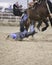 Saddle Bronc Fail