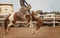Saddle Bronc Riding At An australian Country Rodeo