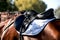 A saddle saddled on the back of a sport horse