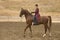 Saddlebred horse