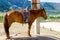 Saddled horse at tethering post