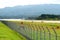 Sado airport fence in Sado island, Niigata, Japan. Its operation is indefinitely suspended.