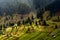 Sadova village in Bucovina autumn landscape in Romania with mist and mountains