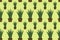 Saemless pattern of house plant sansevieria potted. Flat design. Vector illustration.