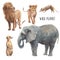 Safari animals set