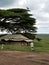 Safari Camp, Savannah, grassland, Plains, Serengeti, Tanzania, Africa