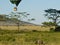 Safari by car and balloon