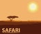 Safari color stylization