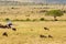 Safari concept. Safari car with wildebeests in african savannah. Masai Mara national park, Kenya