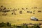 Safari concept. Safari car with wildebeests in african savannah. Masai Mara national park, Kenya