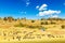 Safari concept. Safari car with wildebeests and zebras in african savannah. Masai Mara national park, Kenya