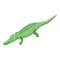 Safari crocodile icon isometric vector. Alligator animal