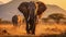 Safari Encounter: Majestic African Elephant Roaming