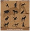 Safari fauna symbols silhouette set collection