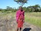 Safari Guide in Maasai Mara