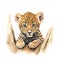 Safari Jaguar watercolor illustration, safari animals clipart