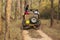 Safari jeep in deep forest