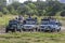 Safari jeeps at Minneriya National Park.