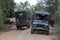 Safari jeeps within Yala National Park.