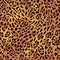 Safari leopard fur seamless vector print