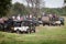 Safari. Many off-road jeeps with visitors. Minneriya. Sri Lanka.