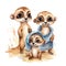 Safari Meerkat watercolor illustration, safari animals clipart