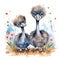 Safari Ostrich watercolor illustration, safari animals clipart