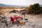 Safari outdoor picnic with African Tanzanian cuisine with baked Chapati nan flatbread on red table