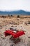 Safari outdoor picnic with African Tanzanian cuisine with baked Chapati nan flatbread on red table