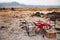 Safari outdoor picnic with African Tanzanian cuisine with baked Chapati nan flatbread on red table