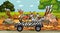 Safari scene with many zebras on a truck