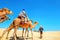 Safari tourism on camels. Sahara desert, Tunisia, North Africa