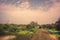 Safari travel tour on suv car in Yala national park reserve wetlands in Sri Lanka in vibrant orange pink purple colors