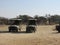 Safari vehicles for game drive in