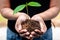 Safe the earth concept, Woman hands carrying seedling and a soil