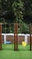 safe and simple children\\\'s swing in the playground at the backyard with a nature background