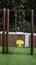 safe and simple children\\\'s swing in the playground at the backyard with a nature background