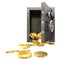 Safe Spilling Coins Front,