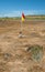 Safety beach swim flag on a sandy beach ireland