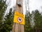 Safety fence on the edge of the forest with the use of electrical fence