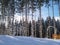 Safety fencing at a ski resort