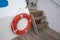 Safety life ring and steps on deck of a yacht
