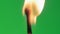 Safety match head lights up in macro or close up on green screen background