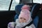 Safety seat for baby in car. Little cute girl in a pink hat and overalls sits winter in a child fastened with straps.