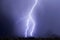 Safford Peak Forked Lightning