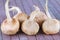 Saffron sativus bulb on a wooden background