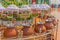 Sagaing hill clay pots