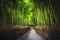 Sagano Bamboo Forest, Arashiyama, Kyoto, Japan