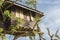 Sagbayan, Bohol, Philippines - A rustic treehouse, one of the attractions at Captain\\\'s Peak Garden, near the Chocolate